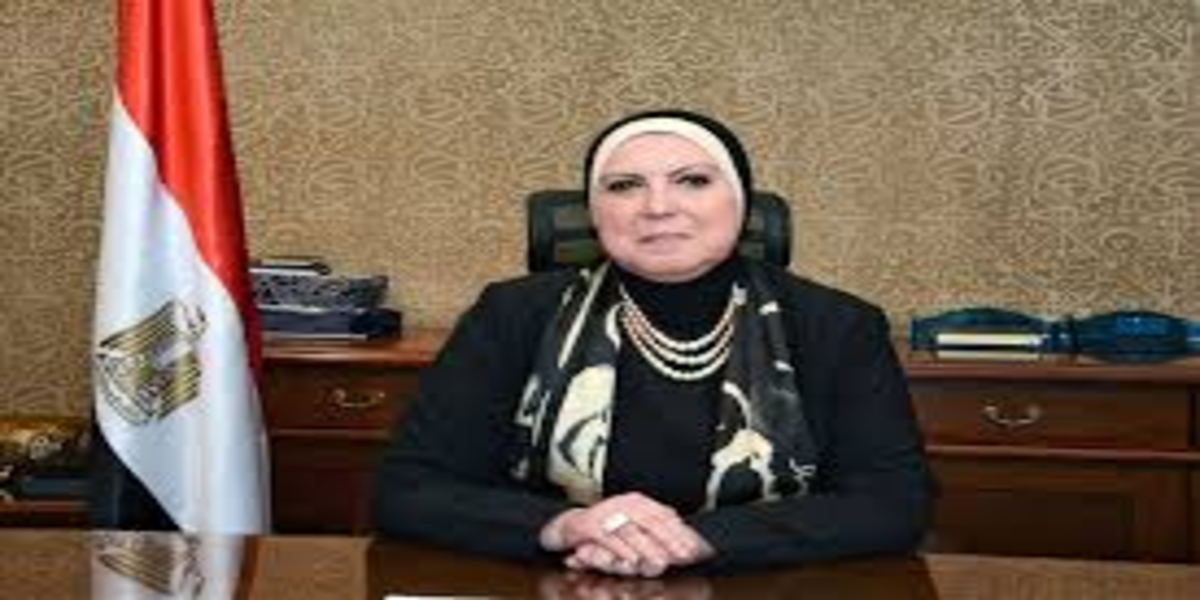 المصرية اللبنانية تلتقي مع وزيرة الصناعة لبحث ملفات المشروعات الصغيرة