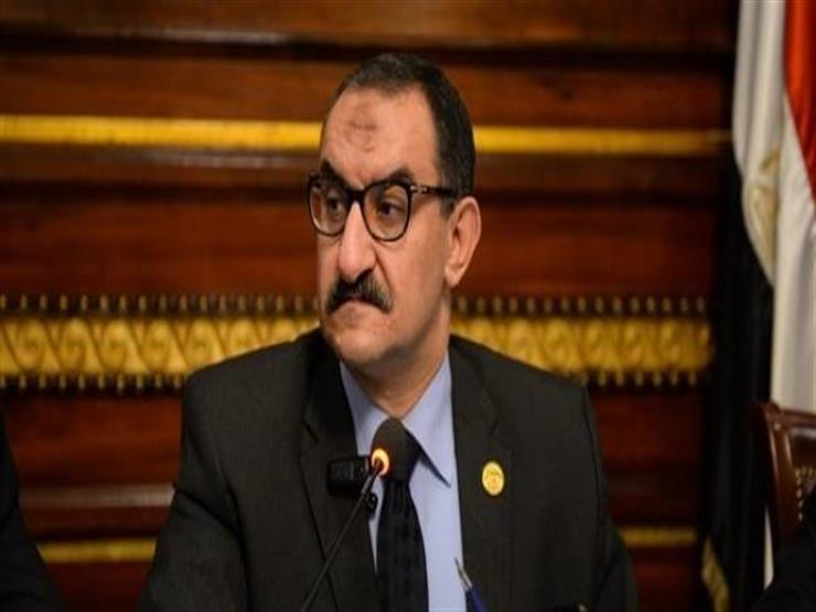 برلماني يتقدم ببيان لتأمين المنافذ الجمركية بالحدود المصرية
