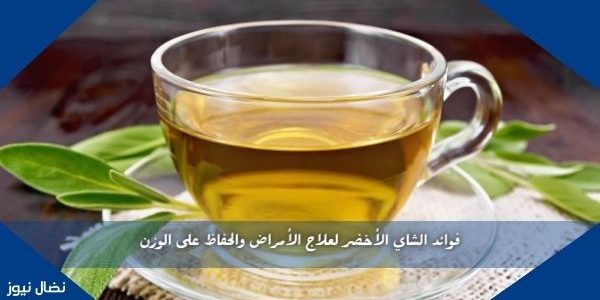 فوائد الشاي الأخضر لعلاج الأمراض والحفاظ على الوزن