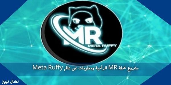 مشروع عملة MR الرقمية ومعلومات عن عالم Meta Ruffy