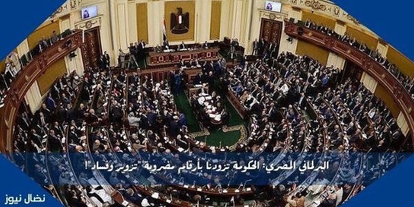 البرلماني المصري: الحكومة تزودنا بأرقام مضروبة “تزوير وفساد”!