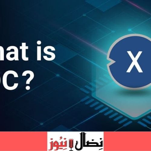 معلومات عن عملة XDC المشفرة