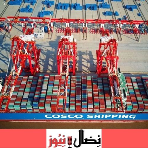 استبعدت السلطات المصرية 173 شركة من قائمة الصادرات معظمها تركية