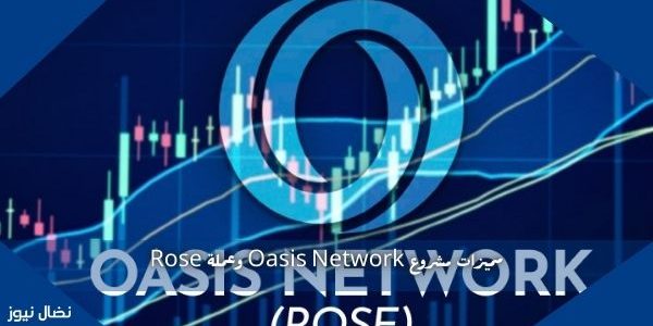 مميزات مشروع Oasis Network وعملة Rose