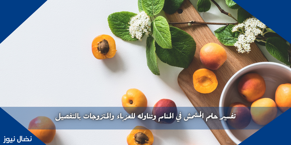 تفسير حلم المشمش في المنام وتناوله للعزباء والمتزوجات بالتفصيل