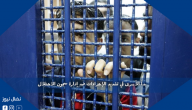 بدأ الأسرى في تشديد الإجراءات ضد إدارة سجون الاحتلال