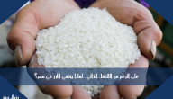 على الرغم من الاكتفاء الذاتي ، لماذا يختفي الأرز في مصر؟
