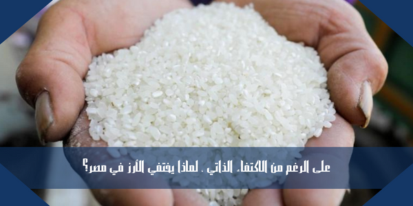 على الرغم من الاكتفاء الذاتي ، لماذا يختفي الأرز في مصر؟