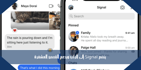 ينضم Signal إلى الركب ويدعم القصص المشفرة