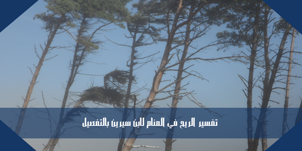 تفسير الريح في المنام لابن سيرين بالتفصيل