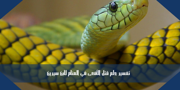 تفسير حلم قتل الأفعى في المنام لابن سيرين
