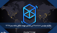 يكشف مؤسس Phantom عن تفاصيل مهمة: ما هي حالة سعر FTM؟