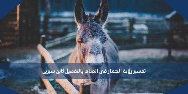 تفسير رؤية الحمار في المنام بالتفصيل لابن سيرين