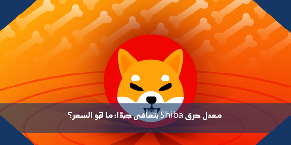 معدل حرق Shiba يتعافى جيدًا: ما هو السعر؟