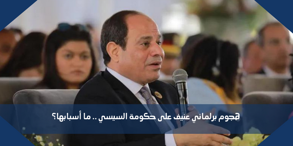 هجوم برلماني عنيف على حكومة السيسي .. ما أسبابها؟
