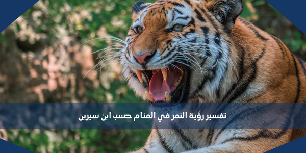 تفسير رؤية النمر في المنام حسب ابن سيرين