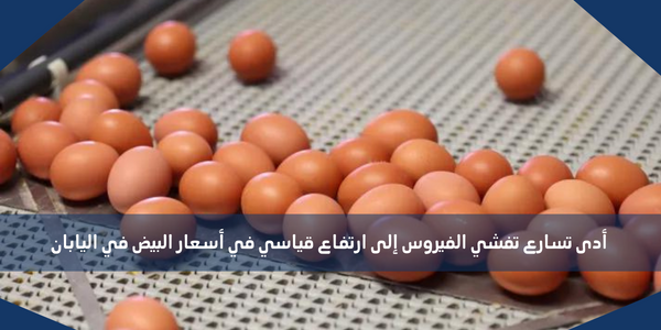 أدى تسارع تفشي الفيروس إلى ارتفاع قياسي في أسعار البيض في اليابان