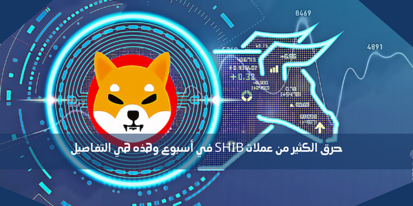 حرق الكثير من عملات SHIB في أسبوع وهذه هي التفاصيل