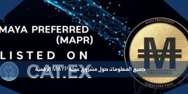جميع المعلومات حول مشروع عملة MAYP الرقمية