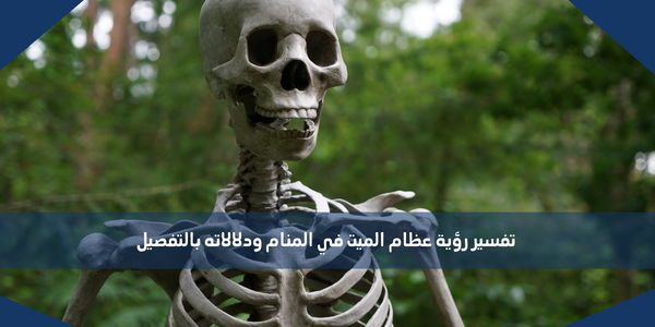 تفسير رؤية عظام الميت في المنام ودلالاته بالتفصيل