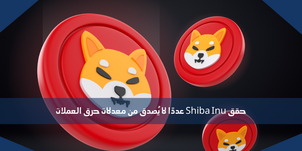 حقق Shiba Inu عددًا لا يُصدق من معدلات حرق العملات