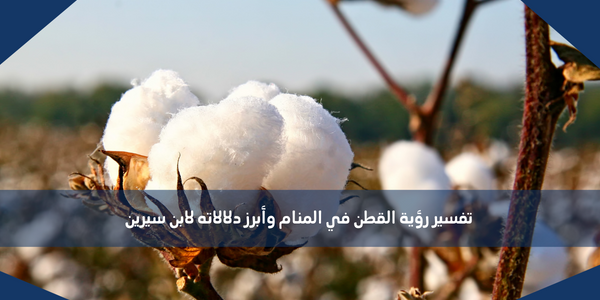 تفسير رؤية القطن في المنام وأبرز دلالاته لابن سيرين