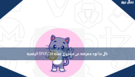 كل ما تود معرفته عن مشروع عملة BNBcat الرقمية